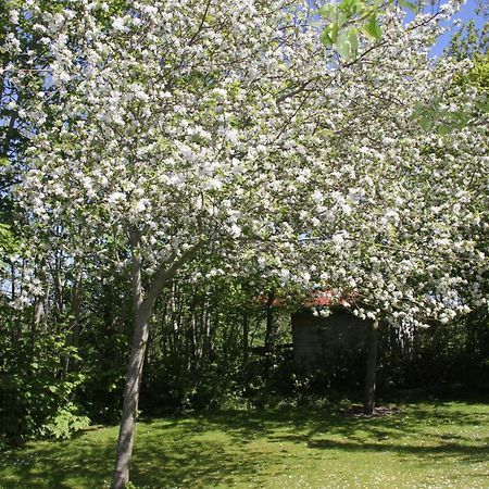 Countryside Eco Natuurhuisjes Ee Luaran gambar