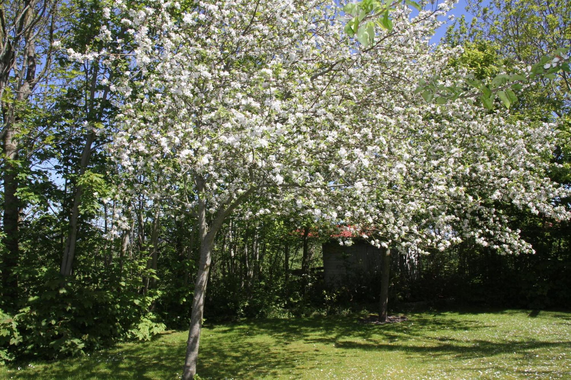 Countryside Eco Natuurhuisjes Ee Luaran gambar