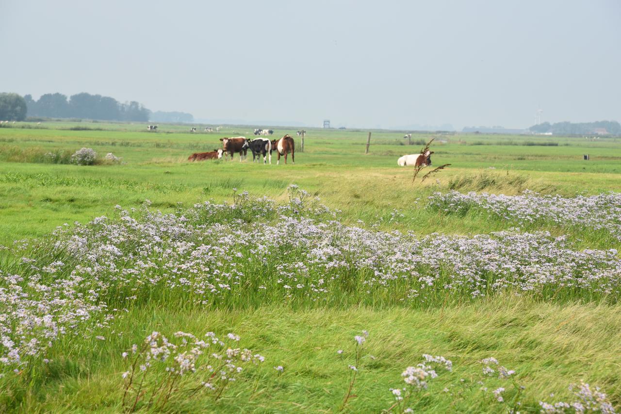 Countryside Eco Natuurhuisjes Ee Luaran gambar