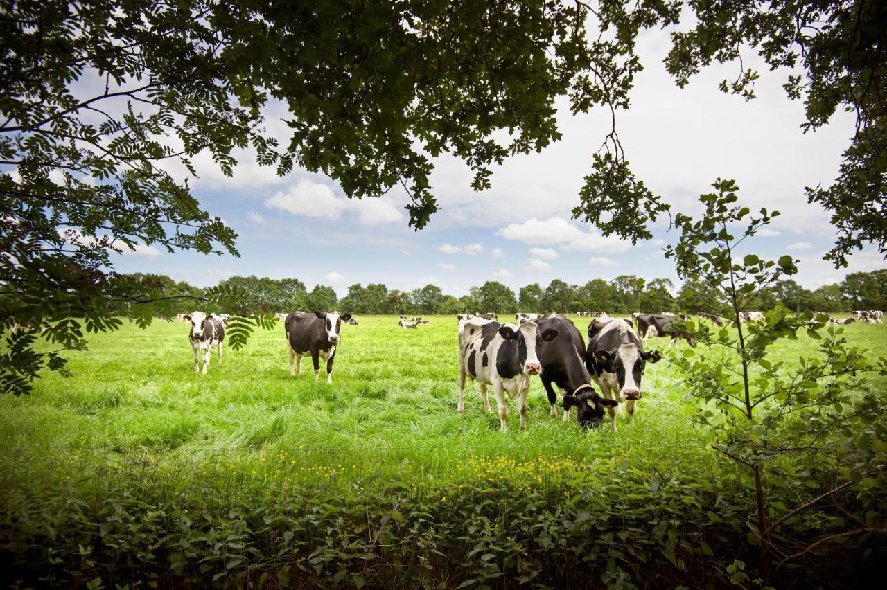 Countryside Eco Natuurhuisjes Ee Luaran gambar