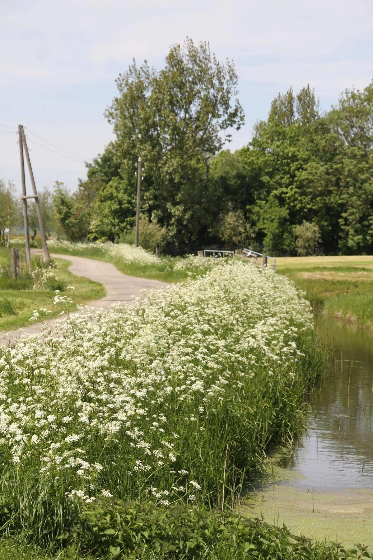Countryside Eco Natuurhuisjes Ee Luaran gambar